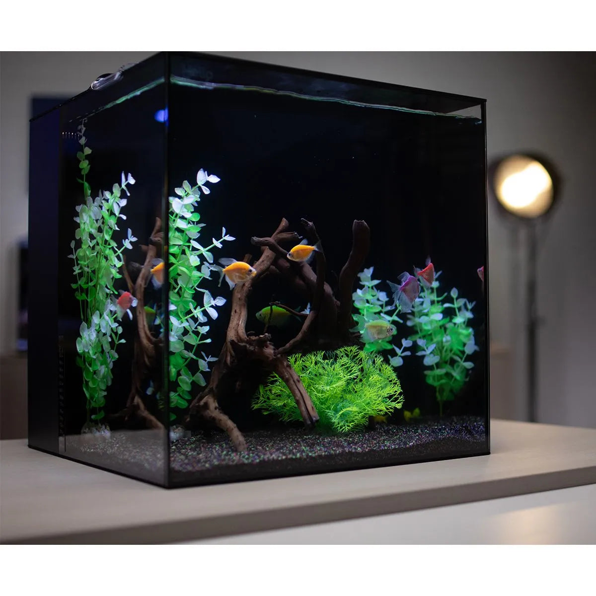 HELLOREEF GloFish® Aquarium Kit