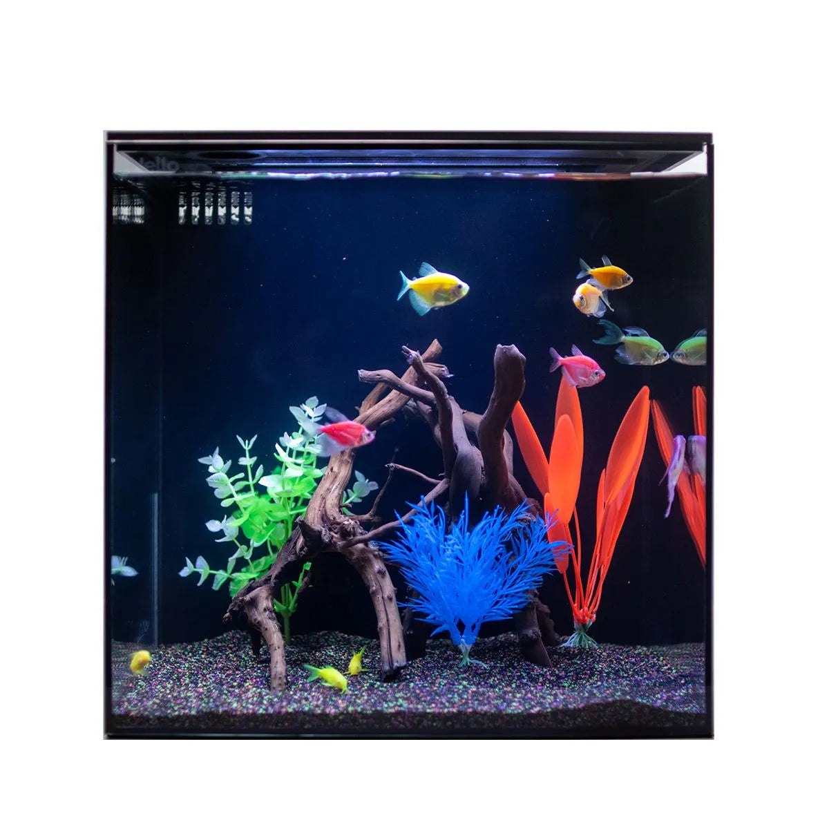 HELLOREEF GloFish® Aquarium Kit