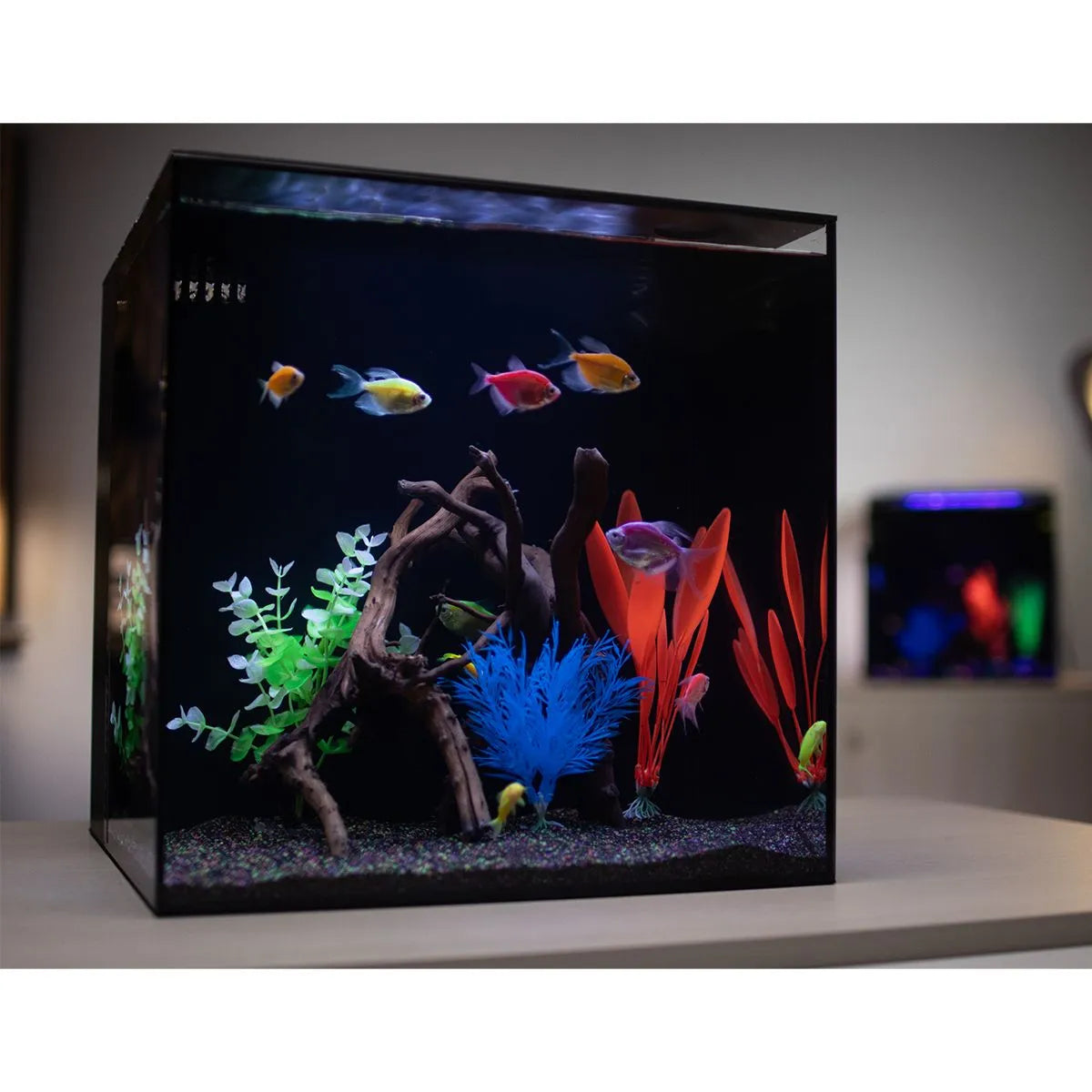 HELLOREEF GloFish® Aquarium Kit