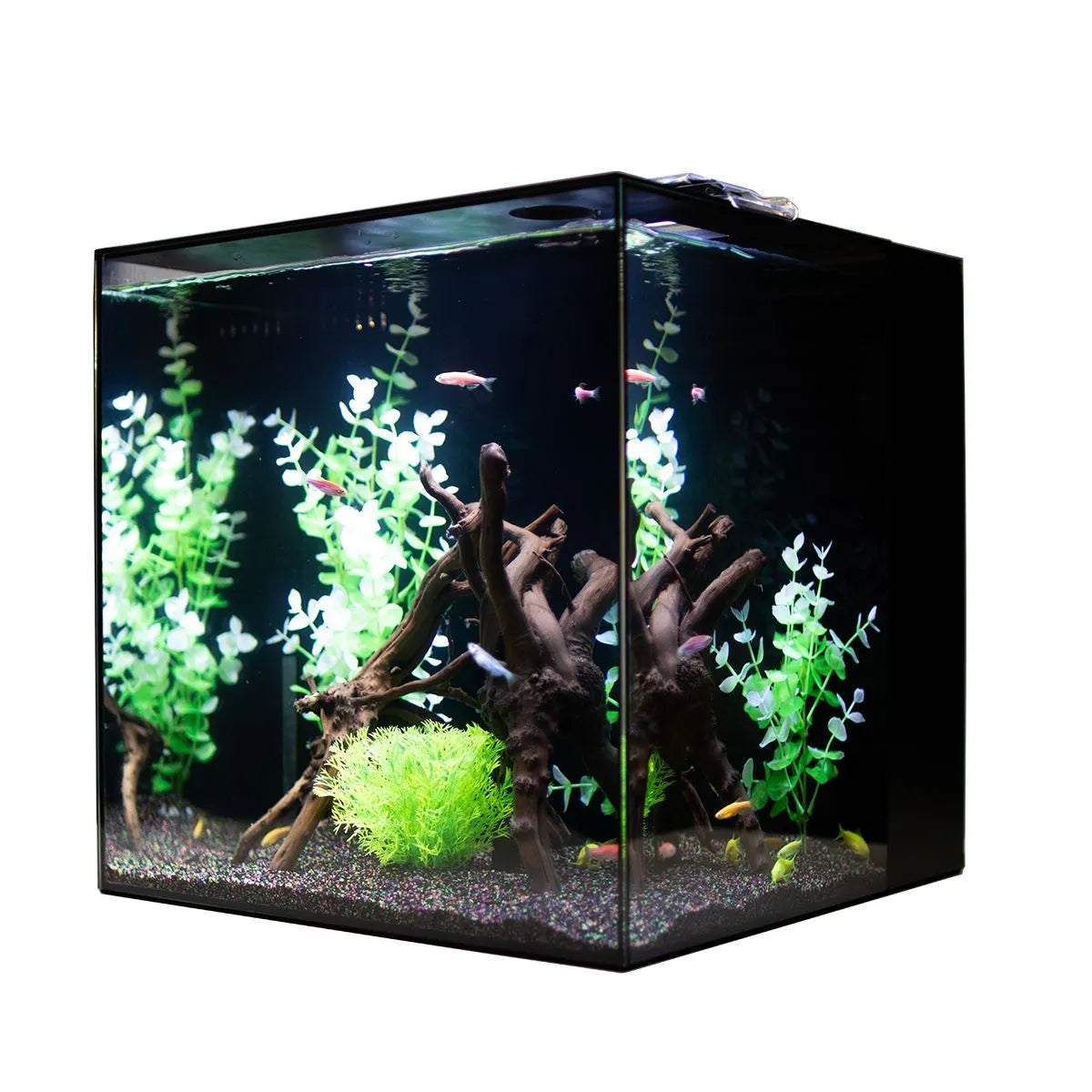 HELLOREEF GloFish® Aquarium Kit