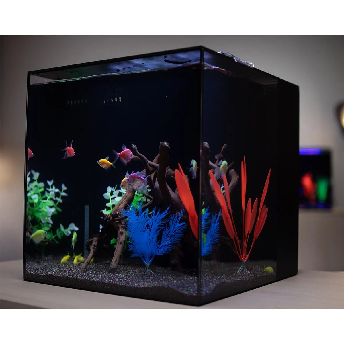 HELLOREEF GloFish® Aquarium Kit