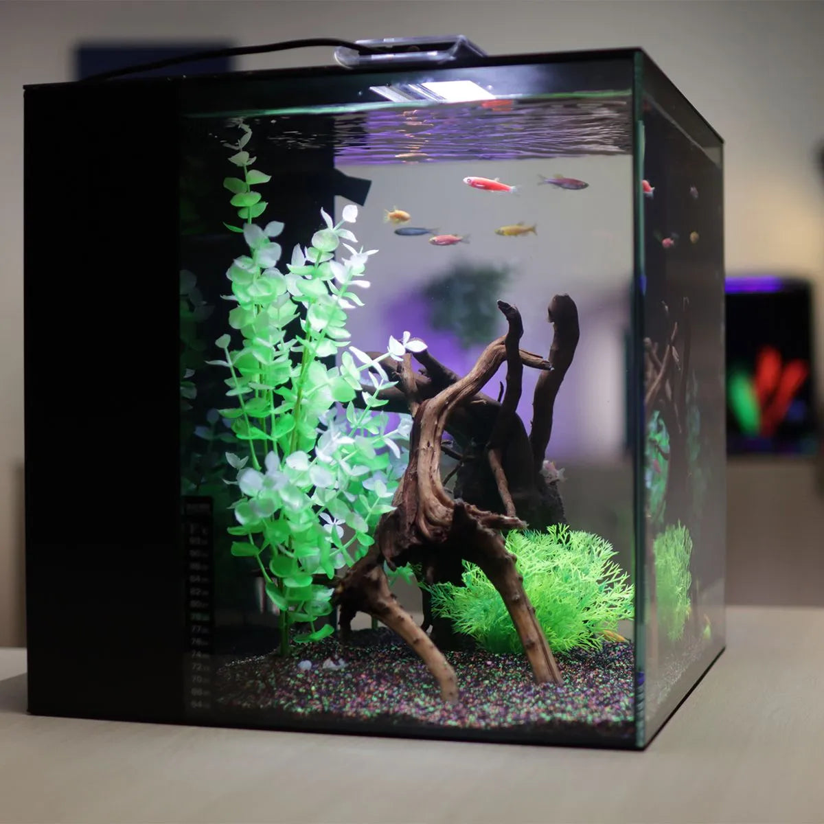 HELLOREEF GloFish® Aquarium Kit