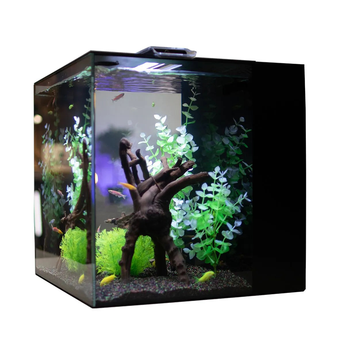 HELLOREEF GloFish® Aquarium Kit