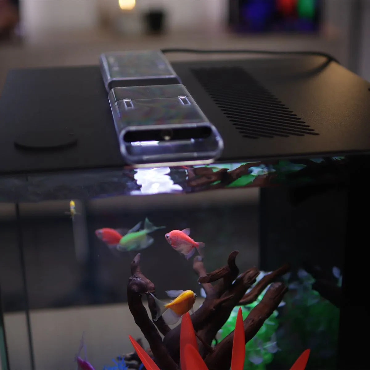 HELLOREEF GloFish® Aquarium Kit