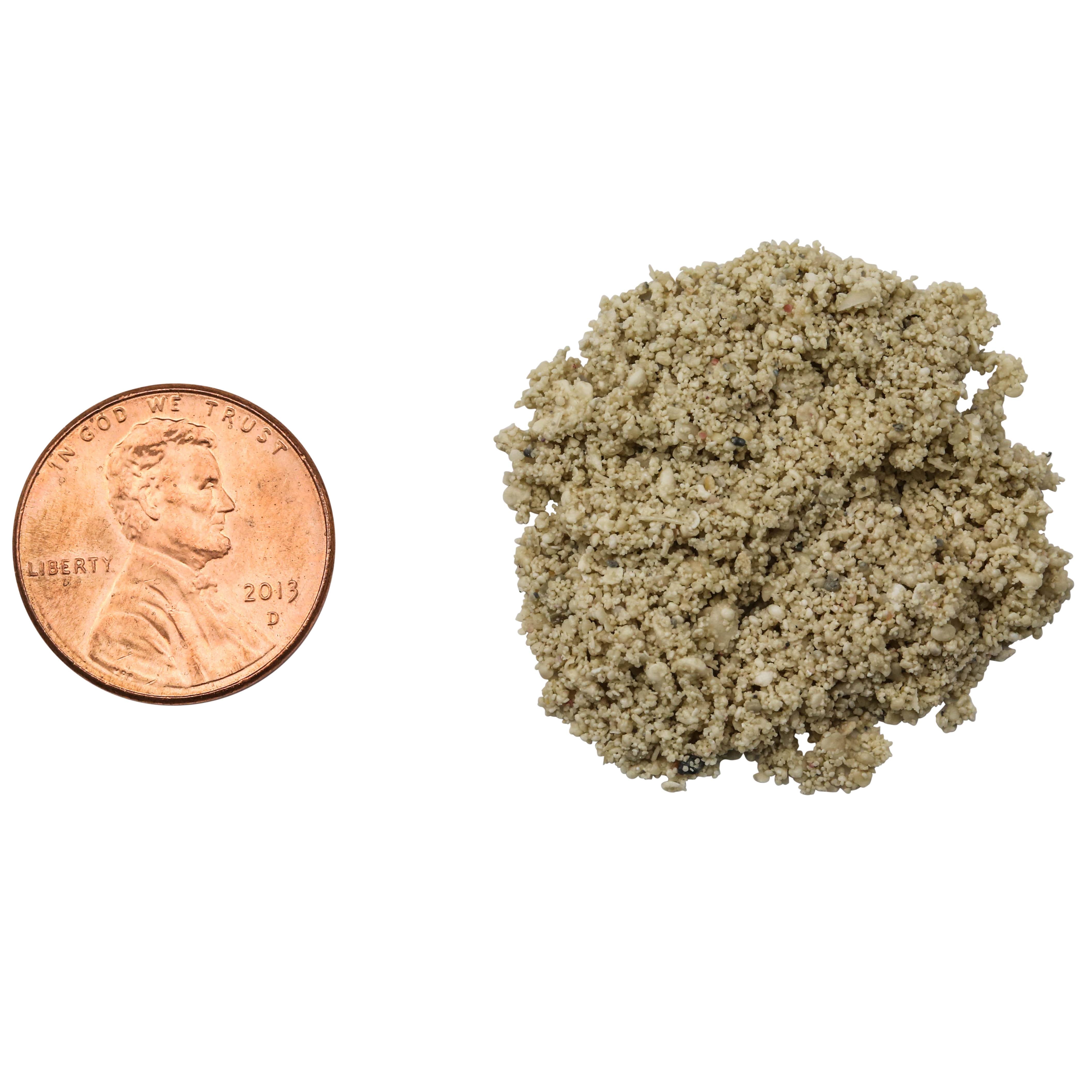 CARIBSEA Original Grade Ocean Direct Live Reef Sand