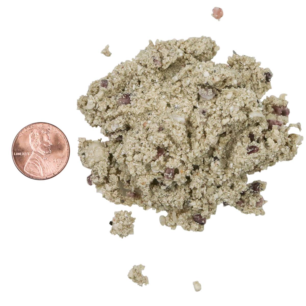 CARIBSEA Bimini Pink Arag-Alive! Live Reef Sand