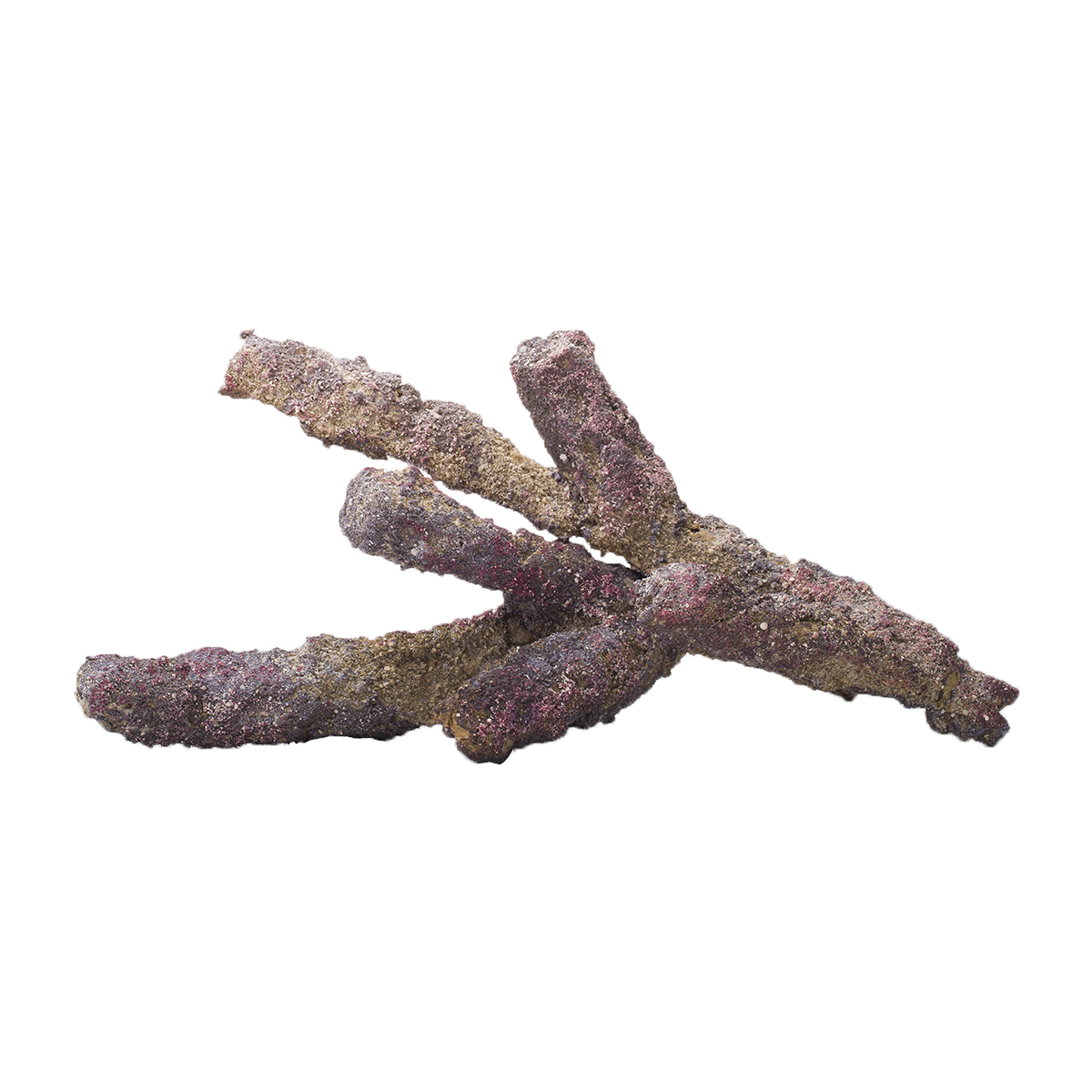 CARIBSEA Branch LifeRock Dry Live Rock