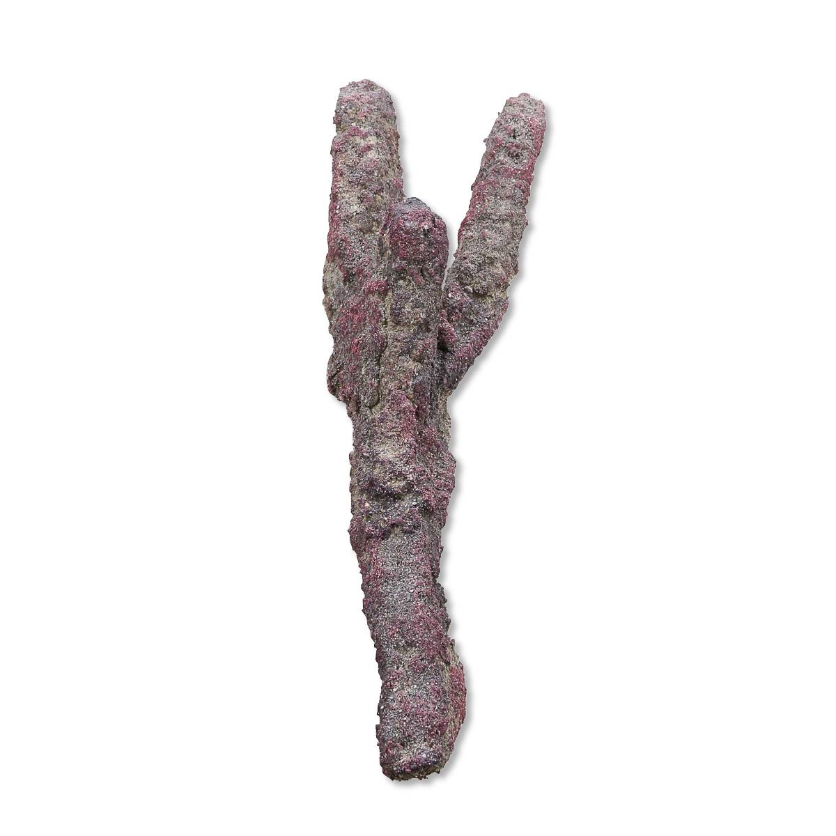 CARIBSEA Branch LifeRock Dry Live Rock