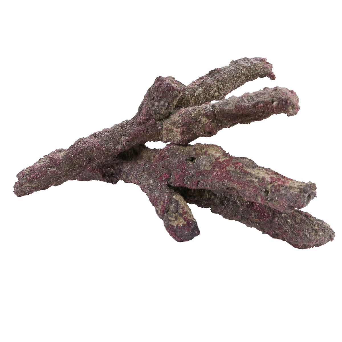 CARIBSEA Branch LifeRock Dry Live Rock