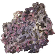 CARIBSEA Shelf LifeRock Dry Live Rock