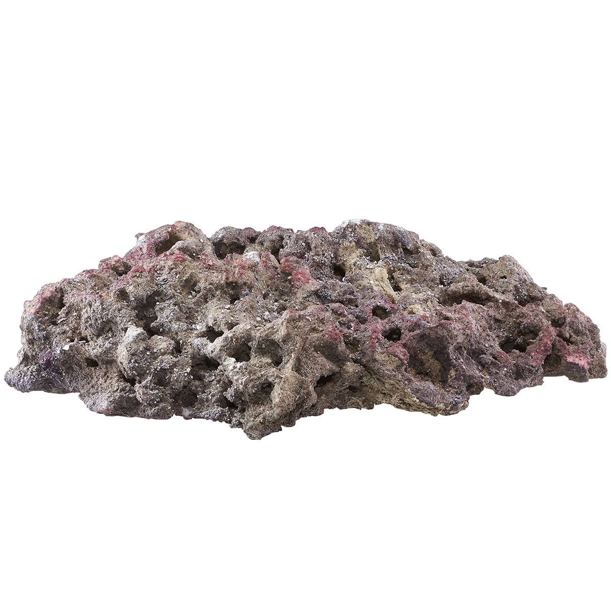 CARIBSEA Shelf LifeRock Dry Live Rock