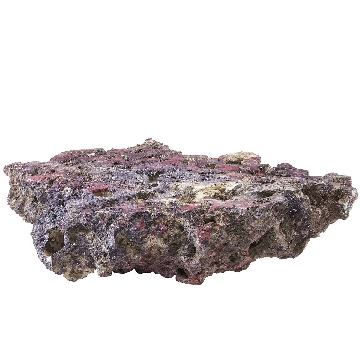 CARIBSEA Shelf LifeRock Dry Live Rock