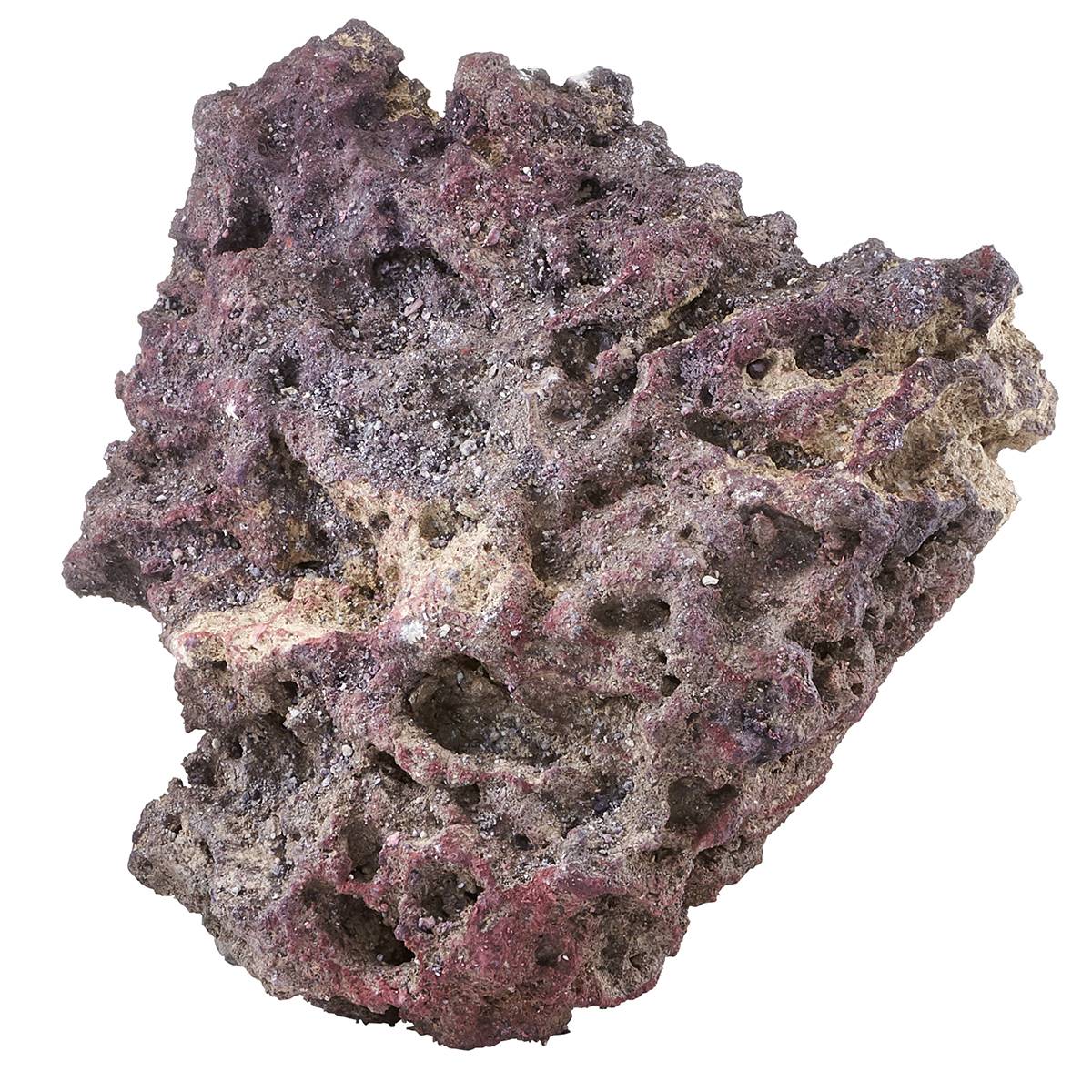 CARIBSEA Shelf LifeRock Dry Live Rock