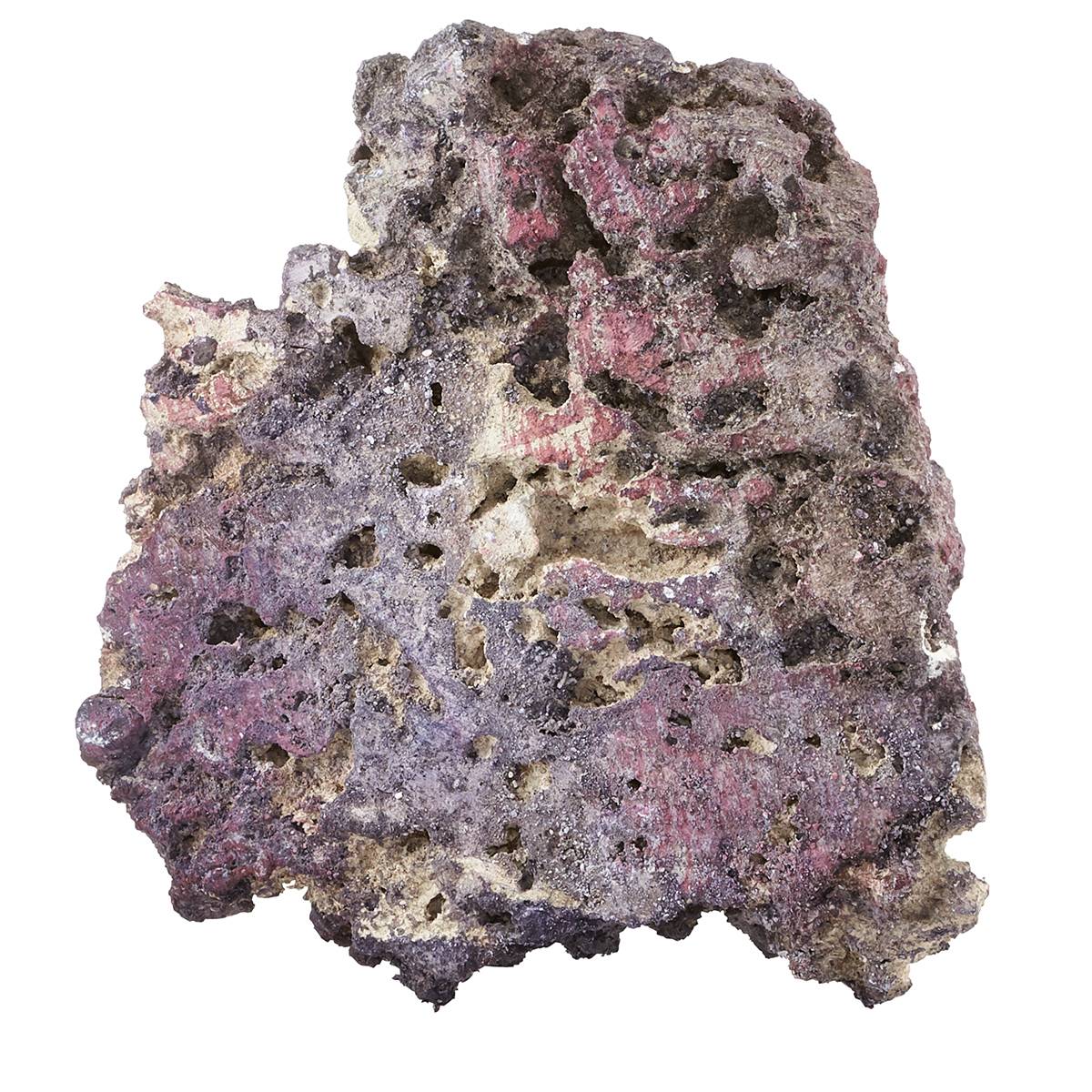 CARIBSEA Shelf LifeRock Dry Live Rock