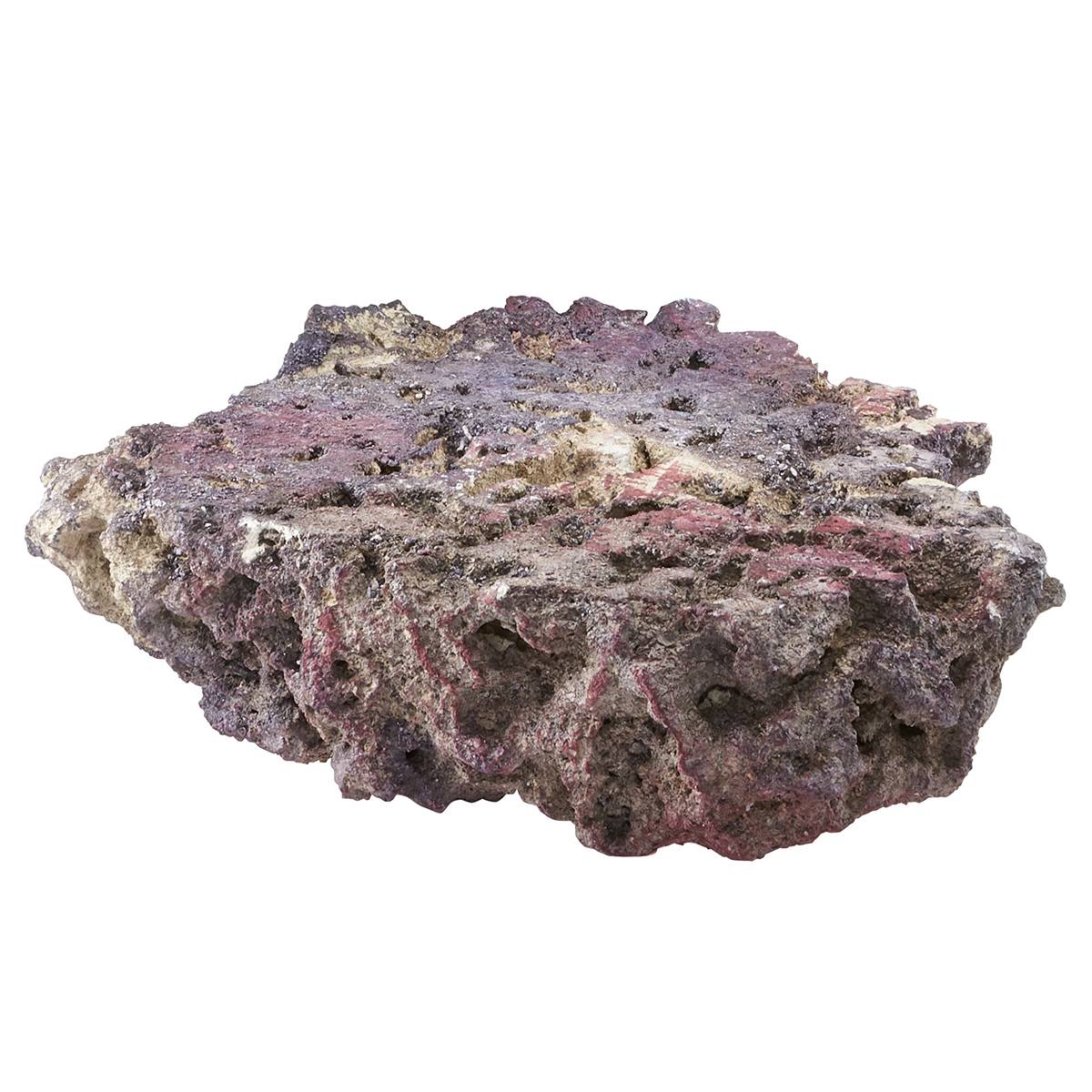 CARIBSEA Shelf LifeRock Dry Live Rock