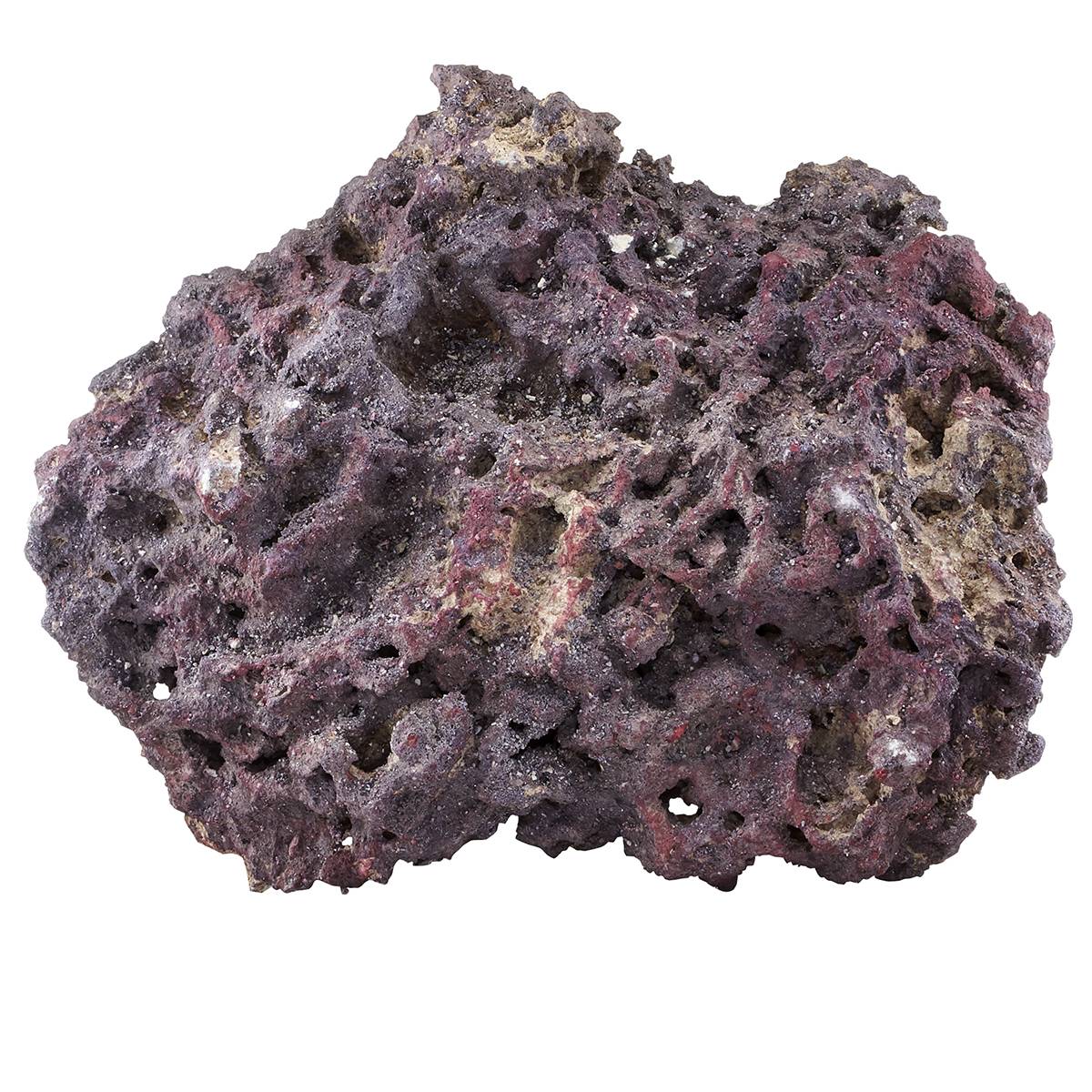 CARIBSEA Shelf LifeRock Dry Live Rock