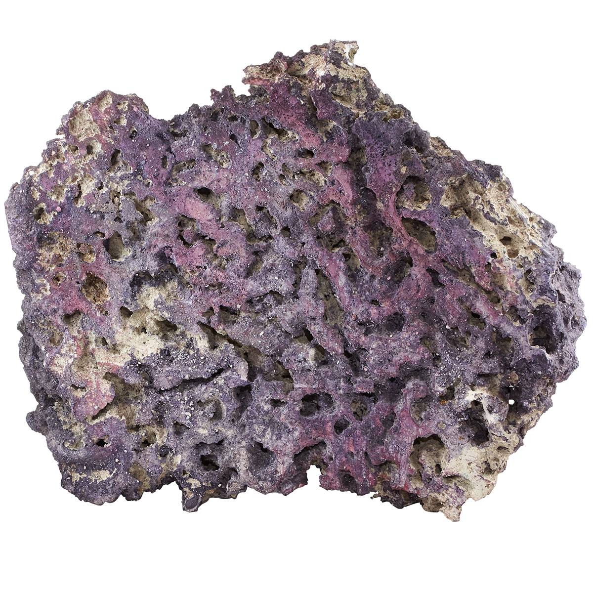 CARIBSEA Shelf LifeRock Dry Live Rock