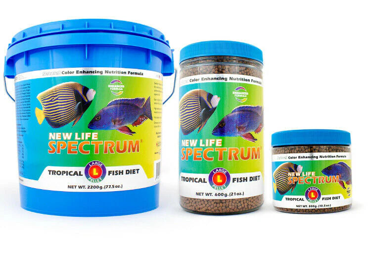 <strong>Fish & Coral Foods</strong>