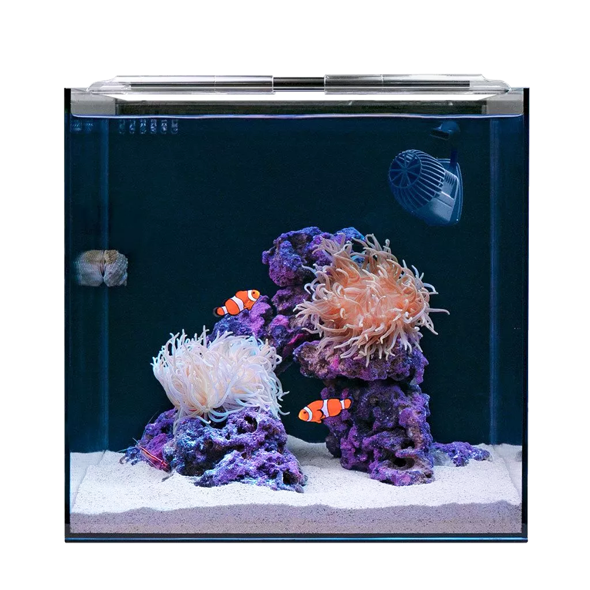 Aquariums