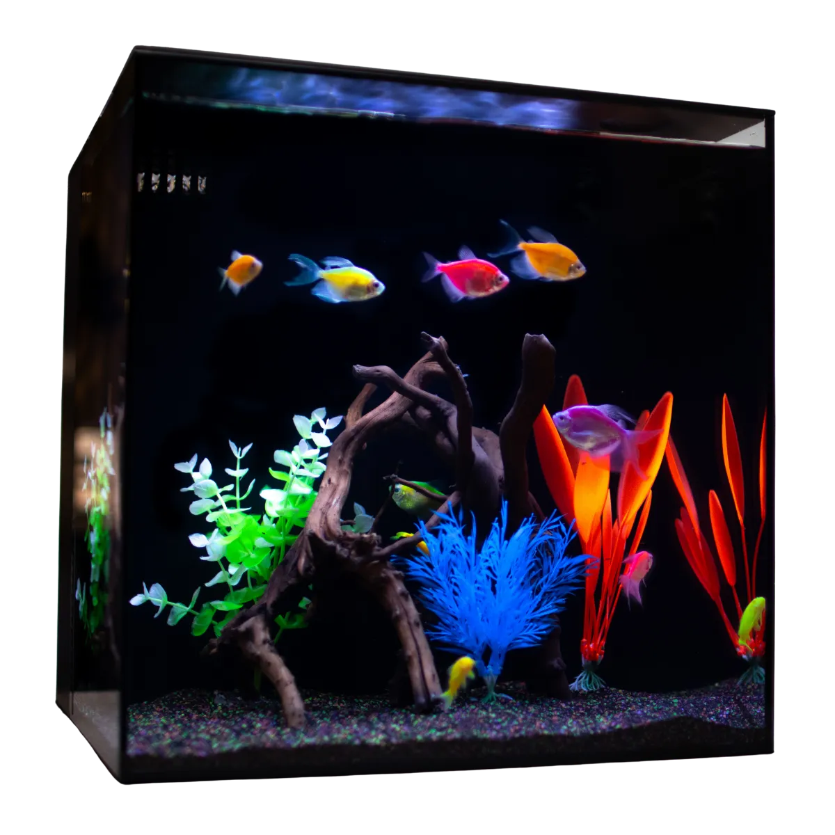 HELLOREEF GloFish® Aquarium Kit