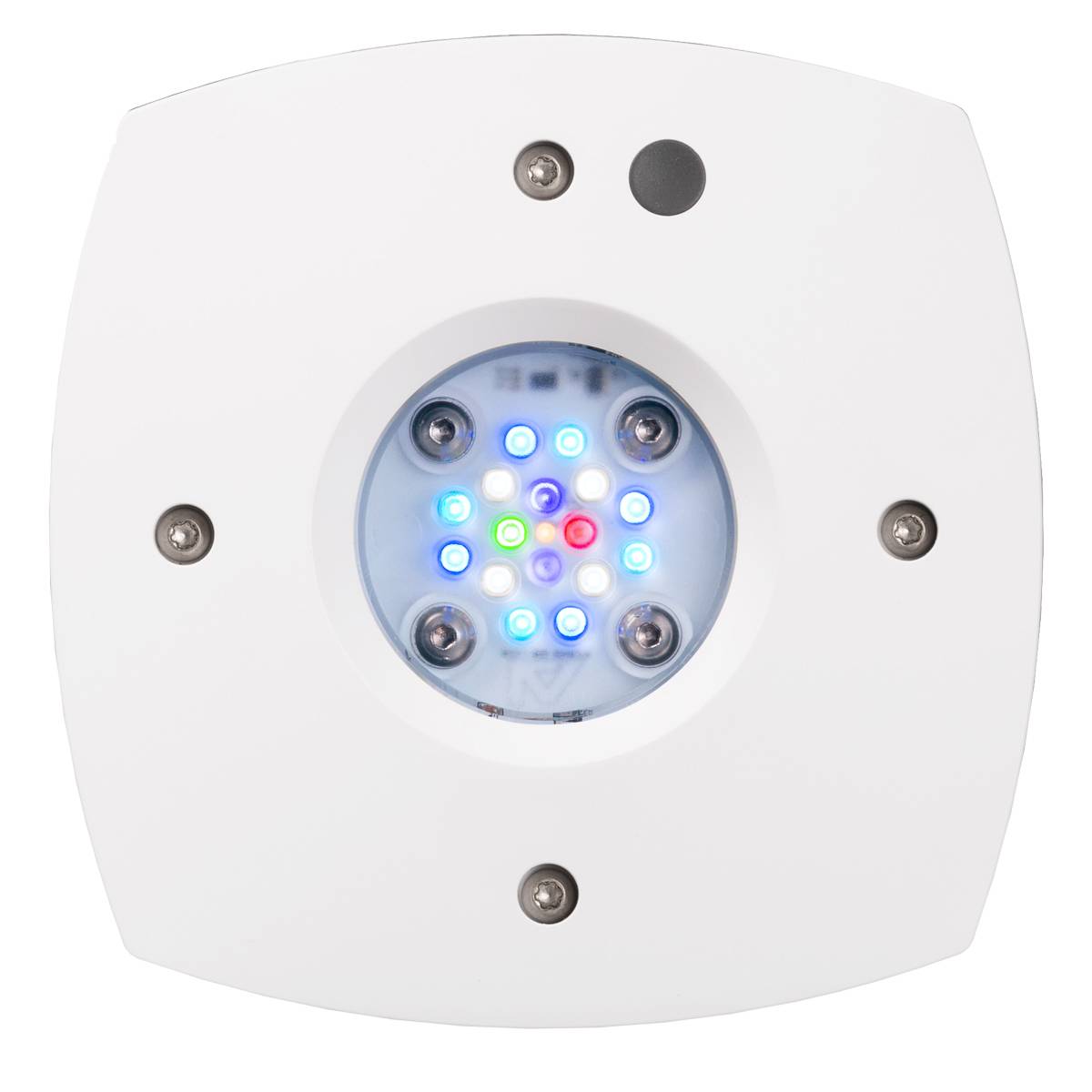 AQUAILLUMINATION Prime 16 LED Freshwater Light - White Body