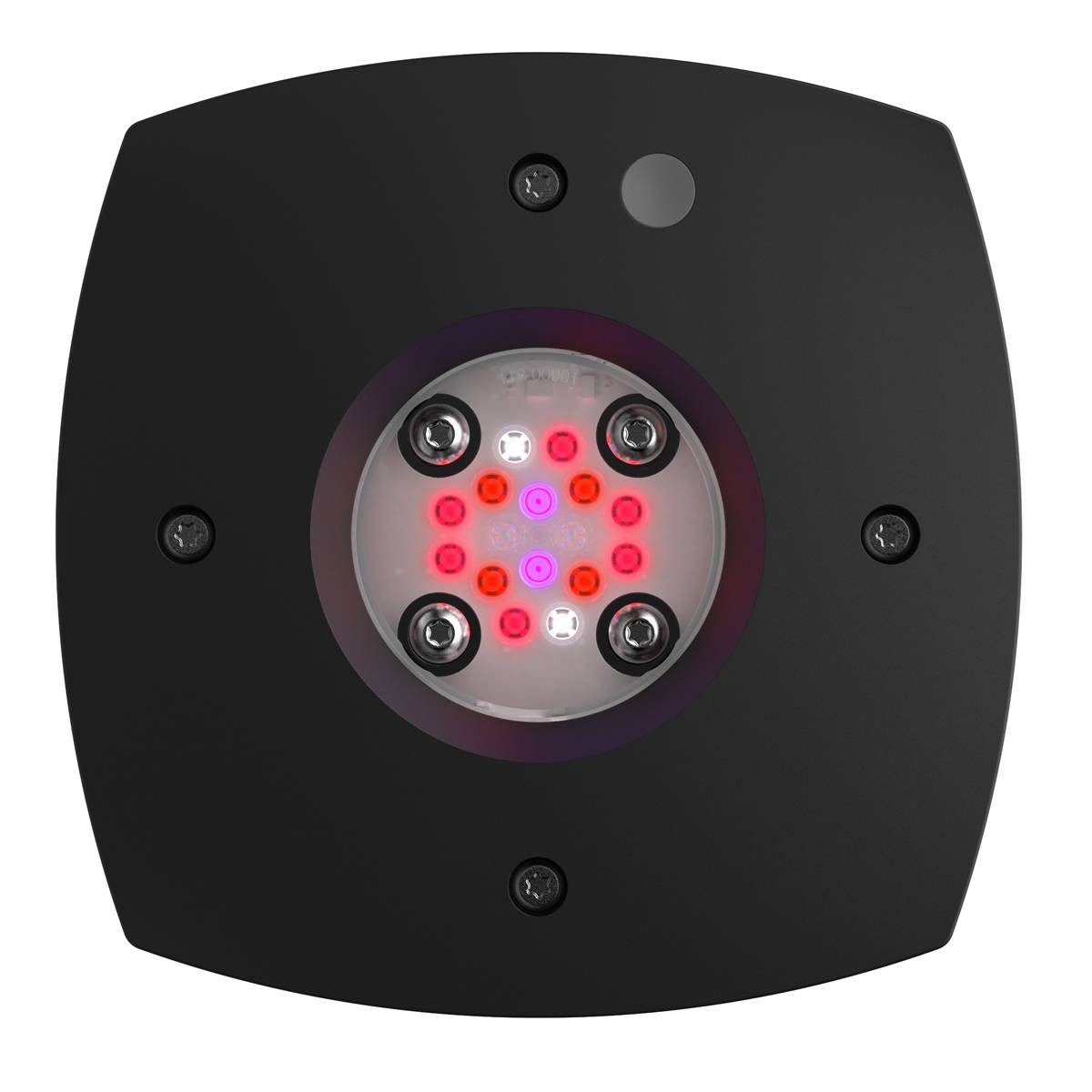 AQUAILLUMINATION Prime 16 LED Fuge Light - Black Body